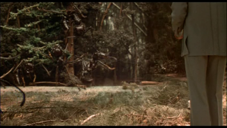 Oh non, des fourmis !